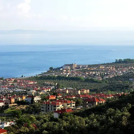 Rezone Health & Oxygen Kazdaglari